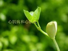 心肌病和心肌炎