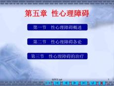 性心理障碍ppt课件
