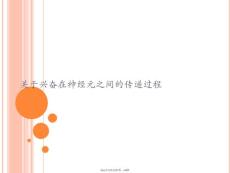 興奮在神經(jīng)元之間的傳遞過程課件