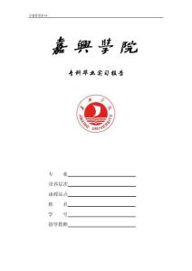 专科毕业实习报告（格式）