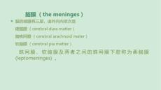 《脑膜瘤》课件