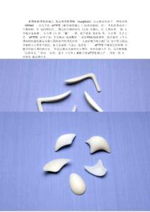 美國surgiform（假體）