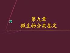 微生物11微生物分類和鑒定