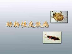 皮肤病学-动物性皮肤病课件