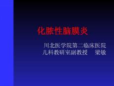 化脓性脑膜炎 （3）