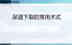 尿道下裂常用术式