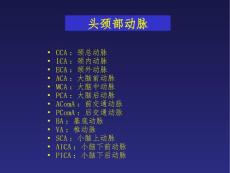 头颈部动脉解剖