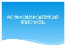 完全性大动脉转位的冠状动脉解剖分类标准