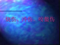 烧伤冷伤咬螫伤(2）
