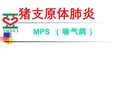 猪支原体肺炎