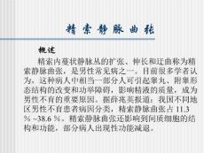 精索静脉曲张