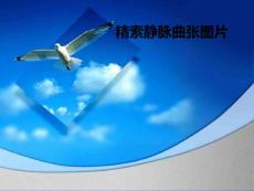 精索静脉曲张图片