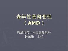 老年性黄斑变性 （4）