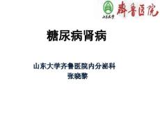 糖尿病肾病 (4)