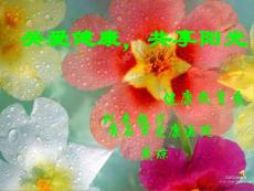 糖尿病足护理