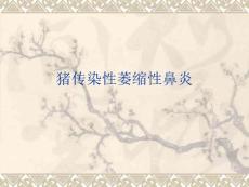 细菌病猪传染性萎缩性鼻炎