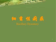 细菌性痢疾 (12）