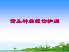 臂丛神经损伤护理 (2）