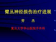 臂丛神经损伤治疗进展