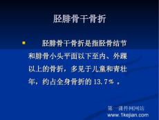 胫腓骨干骨折 (3）