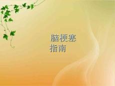 脑梗塞指南