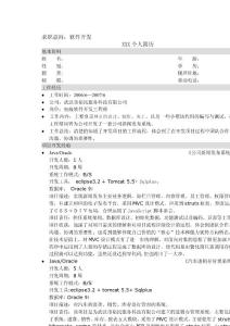 qaoIT 簡歷模板mmw