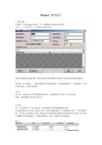 Project 使用技巧