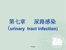 《尿路感染urinary》