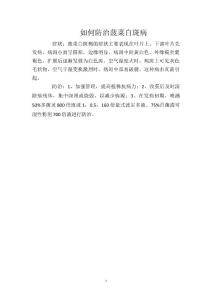 如何防治菠菜白斑病
