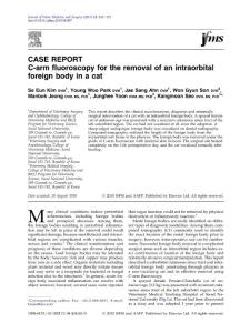 C-arm fluoroscopy for the removal of an intraorbital foreign body in a cat
