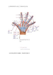 《人体损伤致残程度分级》手功能丧失程度评定