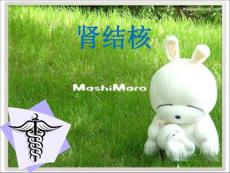 肾结核PPT参考课件