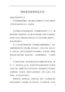 狗狗老是流鼻涕怎么办