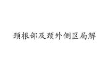 头颈部解剖2