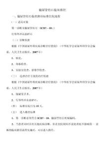 输尿管结石临床路径
