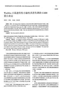 WADDLES小鼠遗传性小脑性共济失调的CAR8蛋白表达.pdf