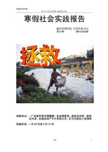 石马河污染问题 寒假社会实践报告最终版.doc