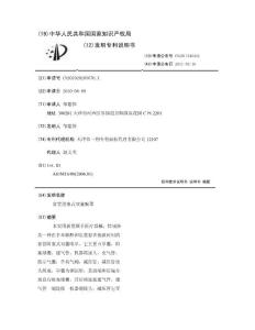 食管阻塞式双囊喉罩