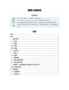 观察小肠绒毛（肿瘤学资料）