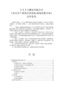 安全生产事故应急预案1.doc
