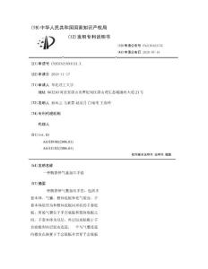 一种腕背伸气囊加压手套
