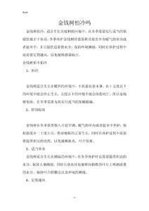 金钱树怕冷吗