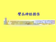 医院臂丛神经损伤 诊疗