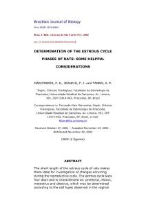 英文大鼠細胞變化