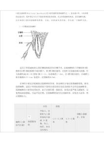 口腔局部麻醉之麻醉方法