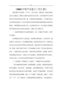 《2022年镇平安建设工作汇报》