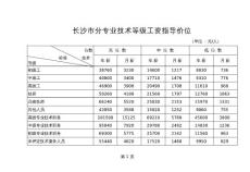 "長沙市分專業技術等級工資指導價位"