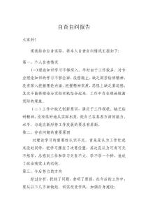 2012年自查自糾報(bào)告