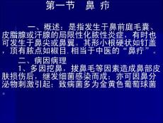 《鼻疖》课件