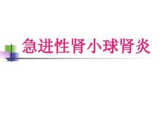 急进性肾小球肾炎、慢性肾炎课件